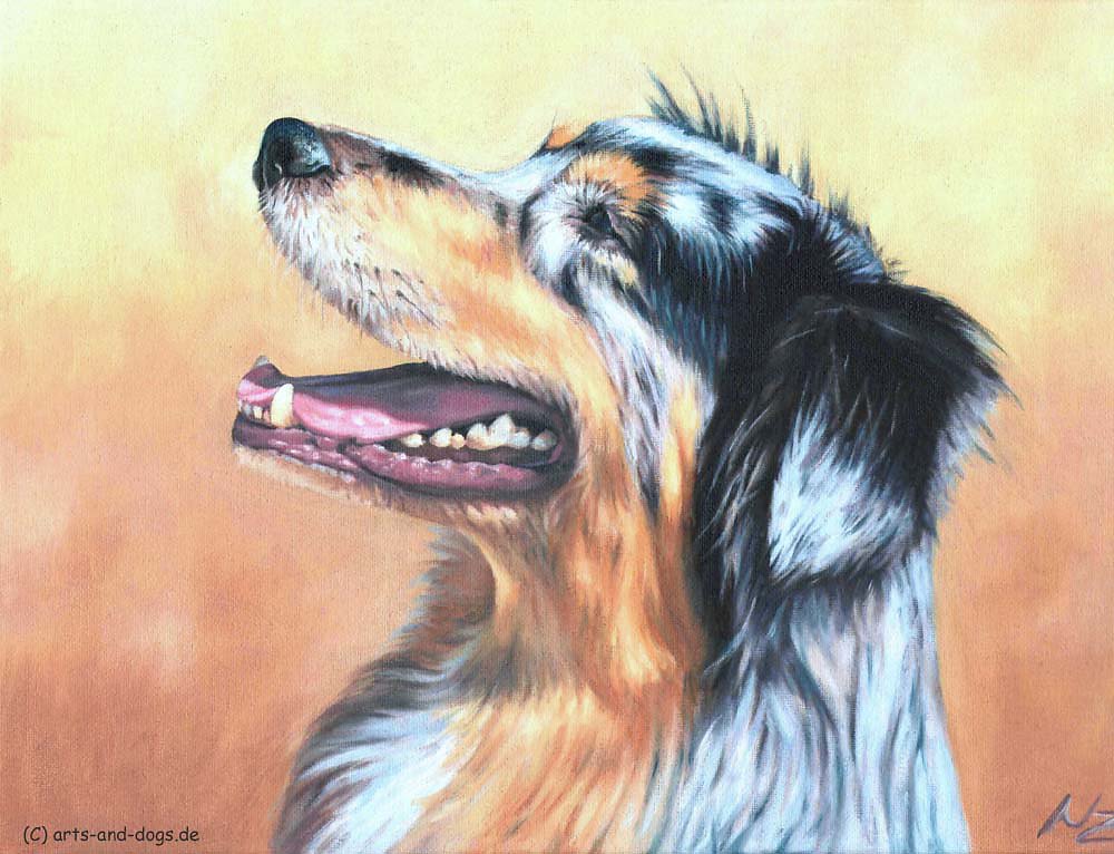 Australian Shepherd Dog