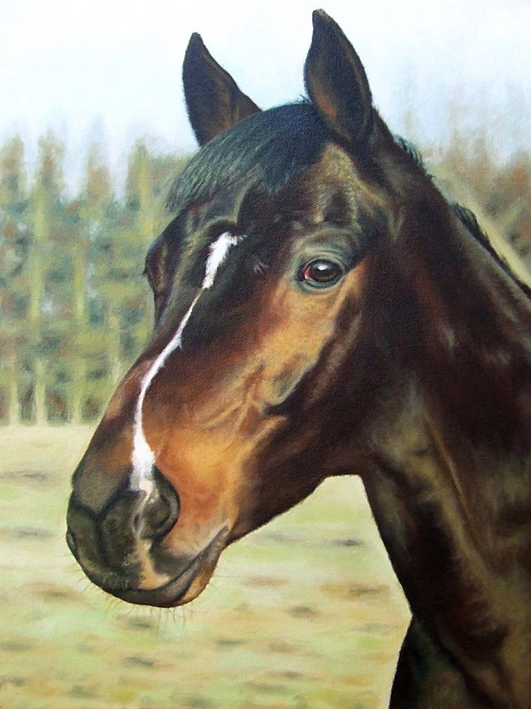 Russisches Pferd - Russian Horse