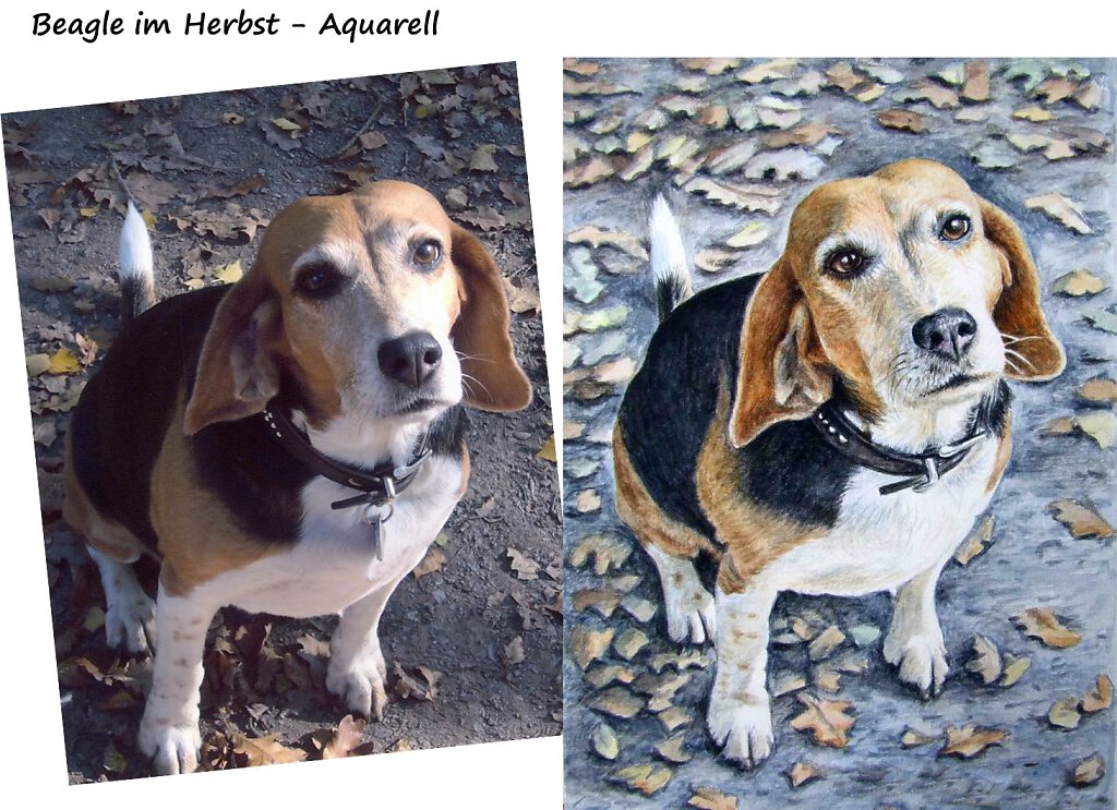 beagle-aquarell.jpg