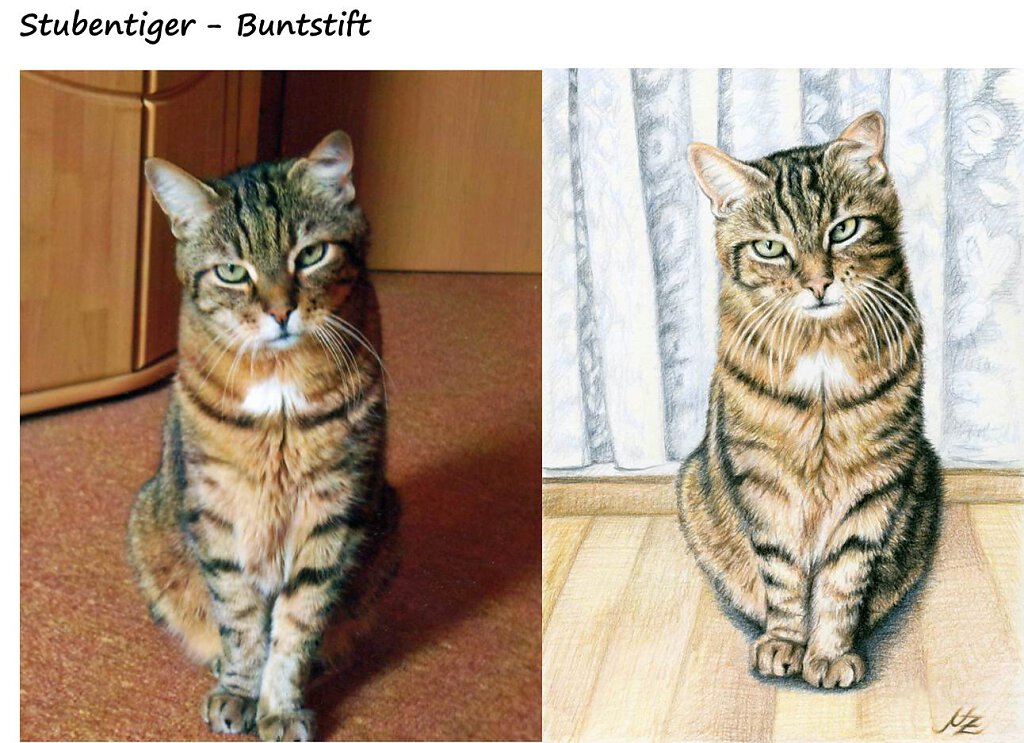 stubentiger-buntstift.jpg